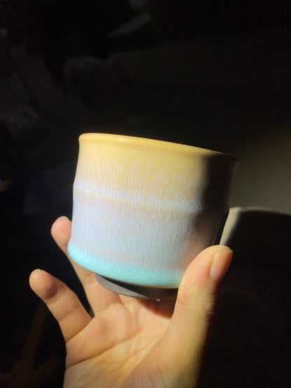 Bunny kiln open 1.13